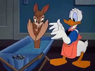 Donald Duck Daddy Duck 1948  Donald Duck Cartoons
