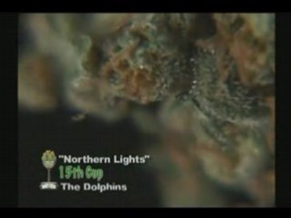 15th Annual Cannabis Cup Submissions