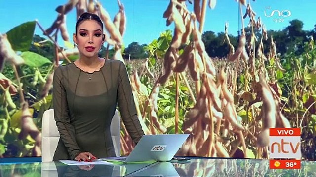 Productores preocupados por falta de lluvias: Deben sembrar 1 millón de HA. de soya, maiz y sorgo