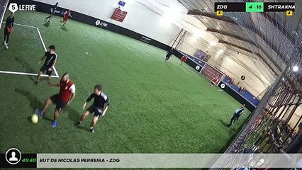 But de Nicolas Perreira - ZDG