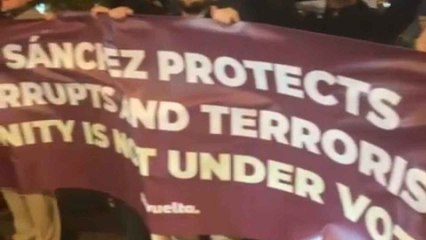 Manifestantes protestan en Bruselas contra la amnistía