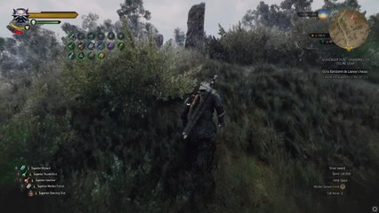 The Witcher 3 - Bug de vitesse