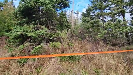 08 nov TOPO Lieux accident New Port