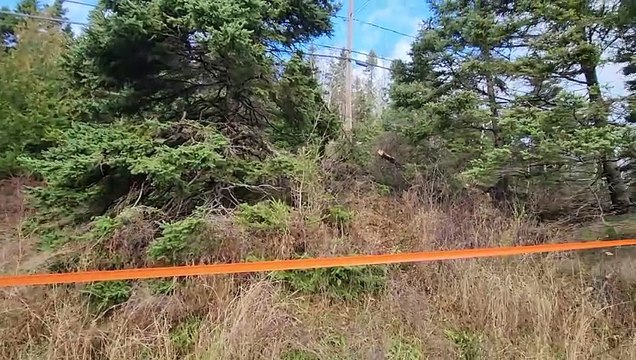 08 nov TOPO Lieux accident New Port