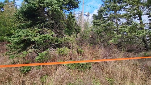 08 nov TOPO Lieux accident New Port