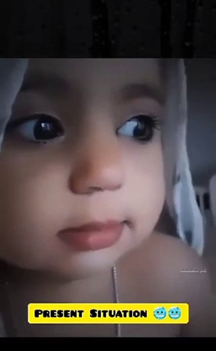 Funny videos