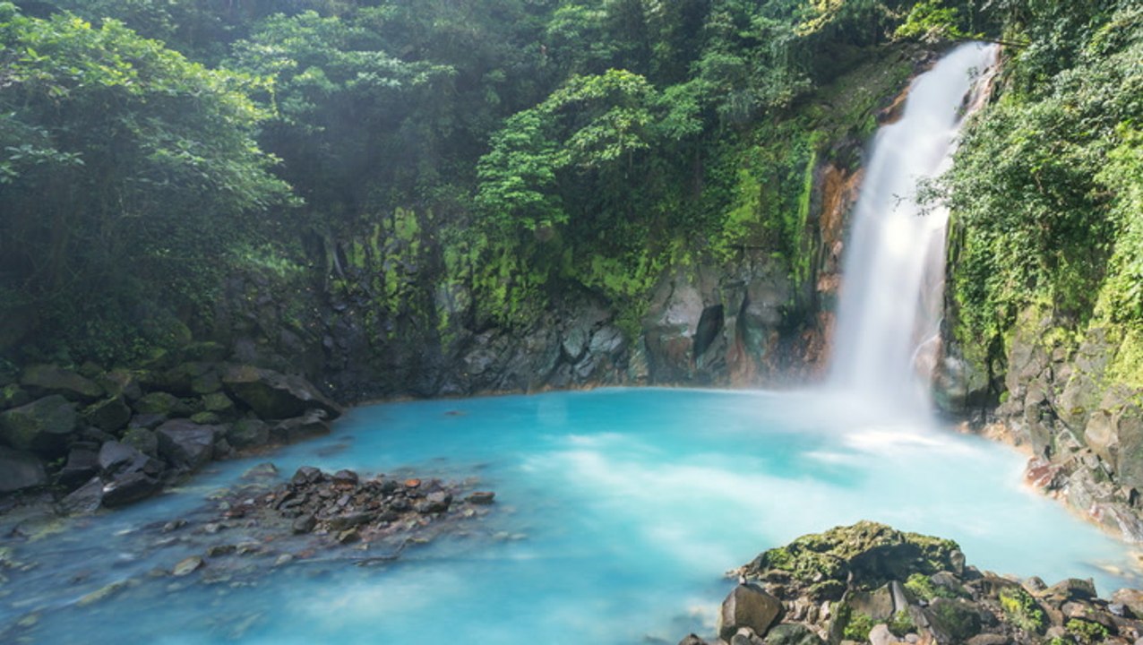 How to See the Best of Costa Rica’s Rain Forests — From Mesmerizing Cloud Forests to Tropical Oases Bursting With Wildlife