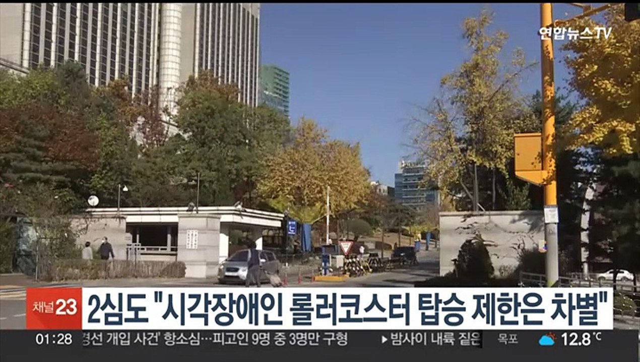 2심도 "시각장애인 롤러코스터 탑승 제한은 차별"