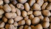 How to Store Potatoes to Max Out Their Shelf Life, According to Our Test Kitchen