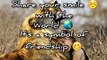 Friendship Quotes - Best Quotes For Lovely Friends