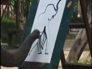 Elephant Peintre -  Bravo l'Artiste !!!