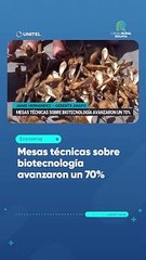 Mesas técnicas sobre biotecnología avanzaron un 70%
