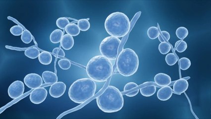 Scientists Achieve Breakthrough in Engineering 'Artificial' Life