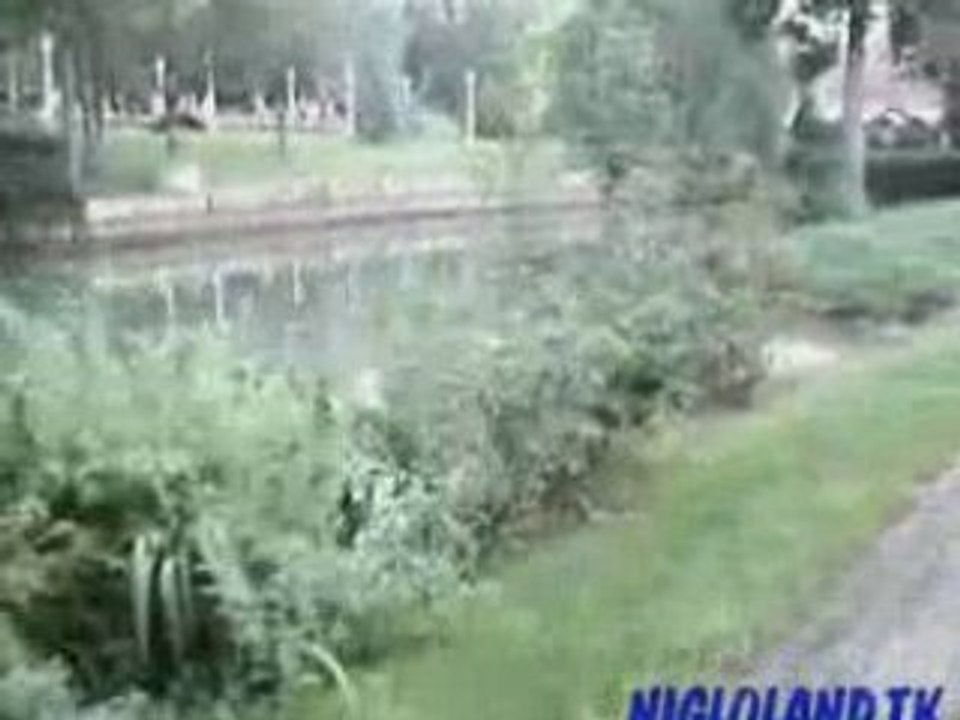 -Nigloland- Les Tacots 1900