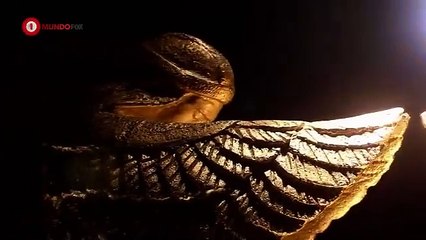 El Rey David Capítulo 13: La Vida y Legado de un Rey Legendario 🐑