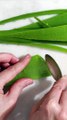 Soothing Skin Woes: Aloe Vera for Skin Health