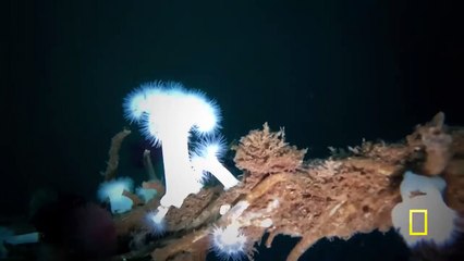 Fishing in Thorne Bay _ Life Below Zero