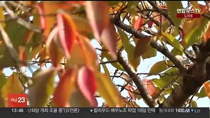 [날씨] 오늘 낮 동안 예년보다 온화…오후부터 전국 비
