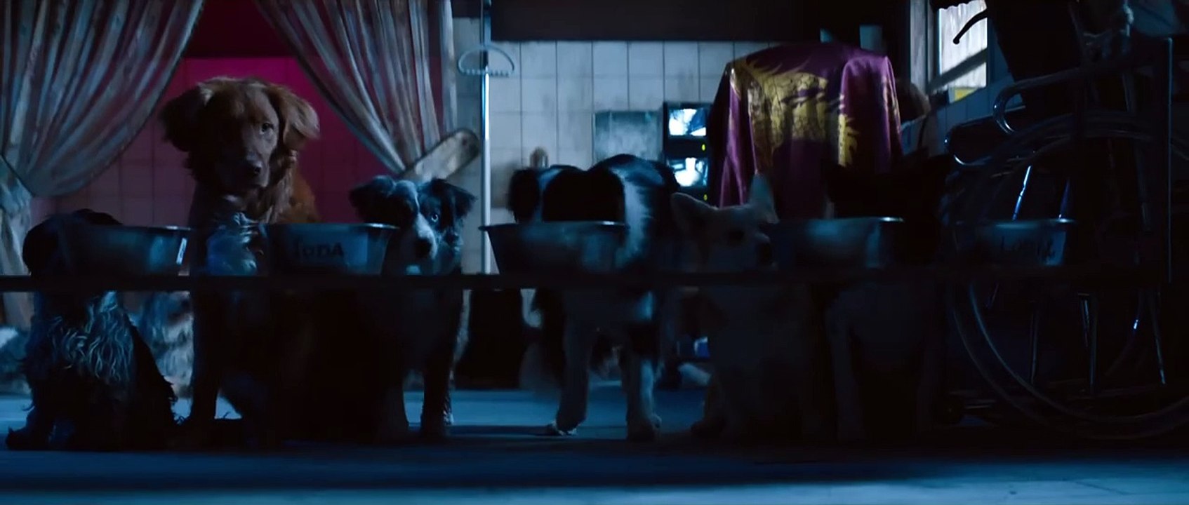Dogman | Trailer 1