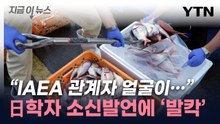 "물고기 형태 바뀌는 것 아니냐" 日 학자 발언 '후폭풍' [지금이뉴스] / YTN