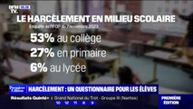 Harcèlement scolaire: des questionnaires anonymes distribués aux élèves du CE2 à la terminale 