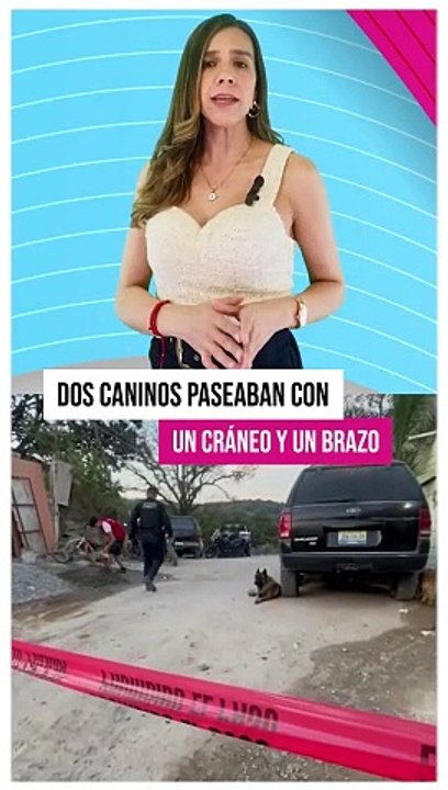 Fueron localizadas varias fosas clandestinas en la colonia Brisas de la Primavera, en Zapopan   #TuNotiReel