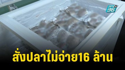 อ้างเป็นแม่ที่ปรึกษานักการเมือง สั่งปลาไม่จ่าย16 ล้าน | เที่ยงทันข่าว | 9 พ.ย. 66