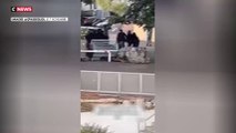 Marseille : un policier de la BAC sort son arme et tire en l'air