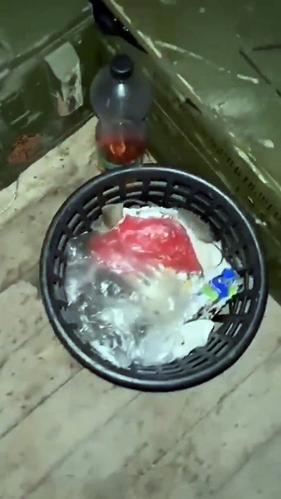 Vivre avec les souris... beaucoup de souris