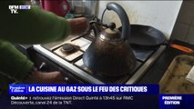 La cuisine au gaz sous le feu des critiques, à cause notamment de la pollution au dioxyde d'azoteLa cuisine au gaz sous le feu des critiques, à cause notamment de la pollution au dioxyde d'azote