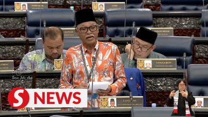 Langkawi MP says sorry for 'wear nothing' comment