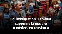 Loi immigration : le Sénat supprime la mesure « métiers en tension »