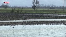 Agriculture : les céréaliers se préparent à des conséquences économiques à cause de semis des céréales impossible