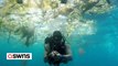 Dramatisches Video zeigt einen Taucher, der vor der Küste von Bali durch Unmengen von Plastik schwimmt