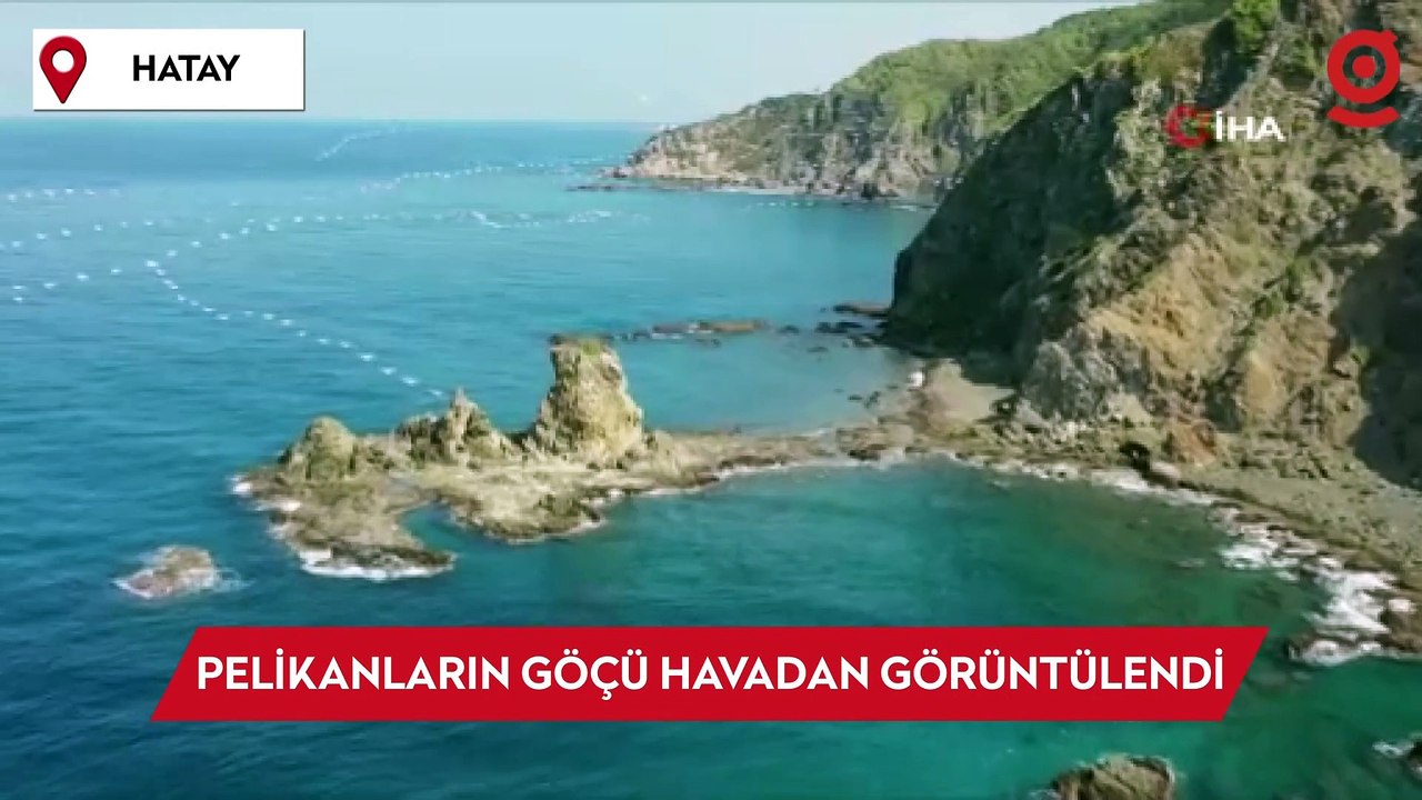 Yüzlerce pelikan göç yolculuğunda havadan görüntülendi