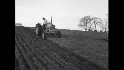 Elizabeth Ploughs Her Own Course (1965)