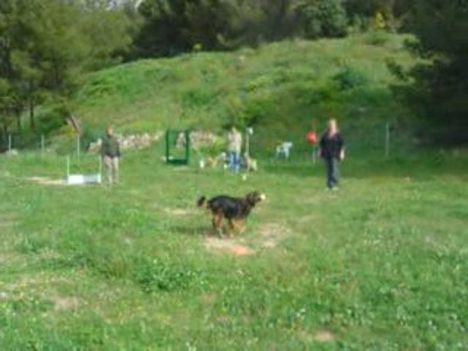 Balto apportable