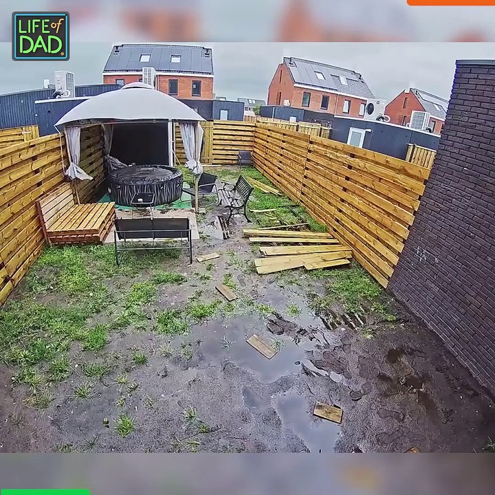 Into the Wild Unknown!