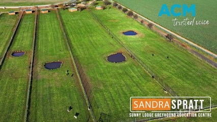 GWIC announced the eTrac app for greyhound participants