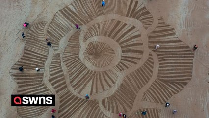 Huge 90ft poppy carved onto beach ahead of Remembrance Day