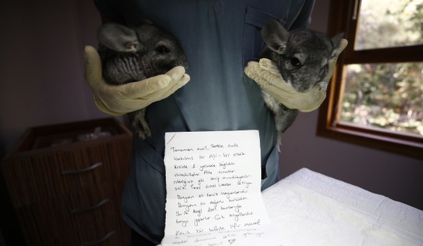 ‘Maddi durumum artık yetmiyor’ diyerek hayvanat bahçesi kapısına bıraktı