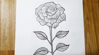 How to draw a Flower Step by Step _ Flower Drawing Lesson