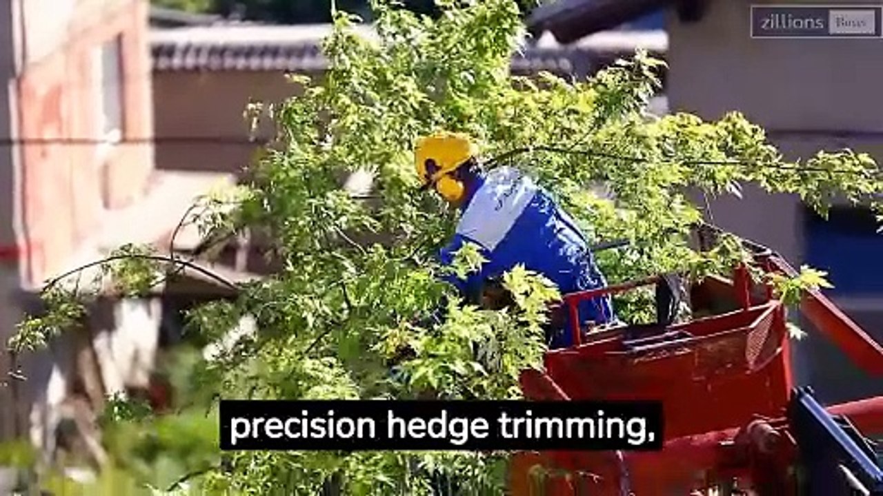 Unveiling the Power of Hedge Trimmers: The Complete Uses and Advantages
