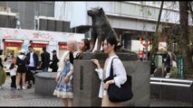 A Tokyo festa per i 100 anni di Hachiko, il cane che ha commosso il mondo