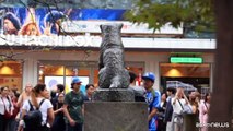 A Tokyo festa per i 100 anni di Hachiko, il cane che ha commosso il mondo