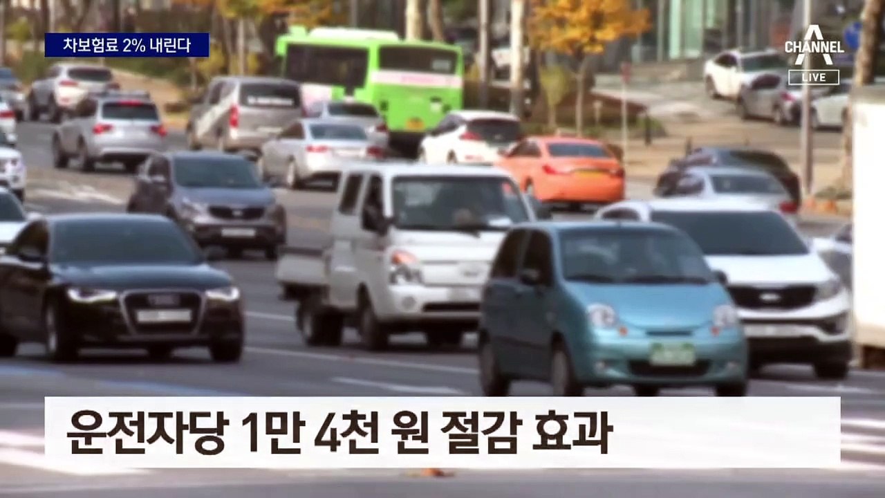이번엔 자동차보험료 인하…내년 1.5~2% 인하 검토