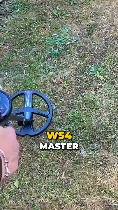 300 chevaux sous le capot  c’est le WS4 MASTER 