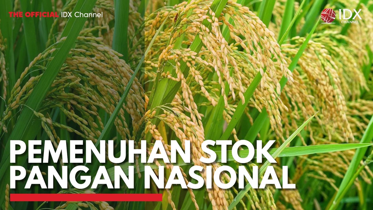 Pemenuhan Stok Pangan Nasional