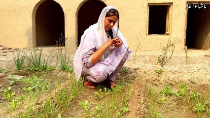 Desi Zindagi ky Desi Rang _ Village life Vlogs _ Aliza Sehar Vlogs