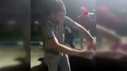 Sakarya'da İneğe Alkol İçirip Kayda Alan 4 Kişi Serbest Bırakıldı